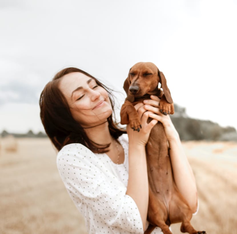 Treatments 4 animal-health-fi
